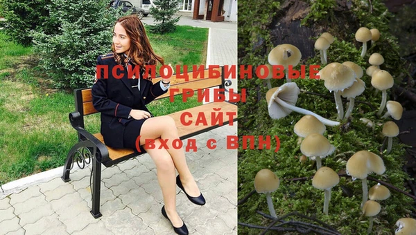 ПСИЛОЦИБИНОВЫЕ ГРИБЫ Абдулино
