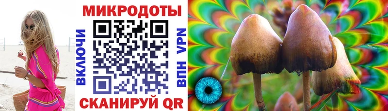 сколько стоит  Беломорск  Галлюциногенные грибы Psilocybe 